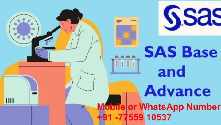 SAS Class online call me 917755910537