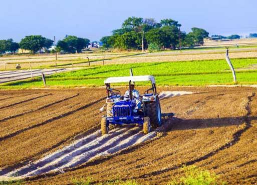 Indian Agriculture Sector, Farming in India