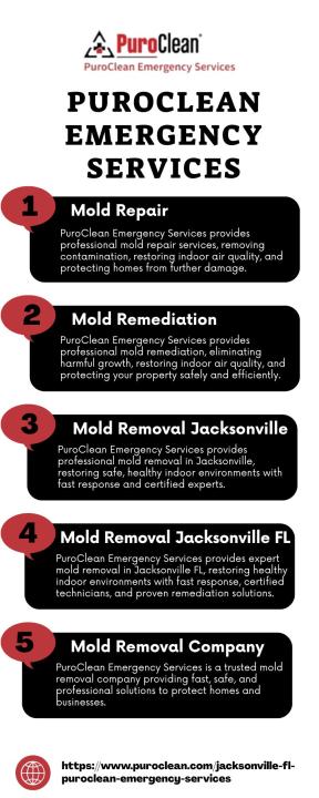 Professional Mold Remediation Services