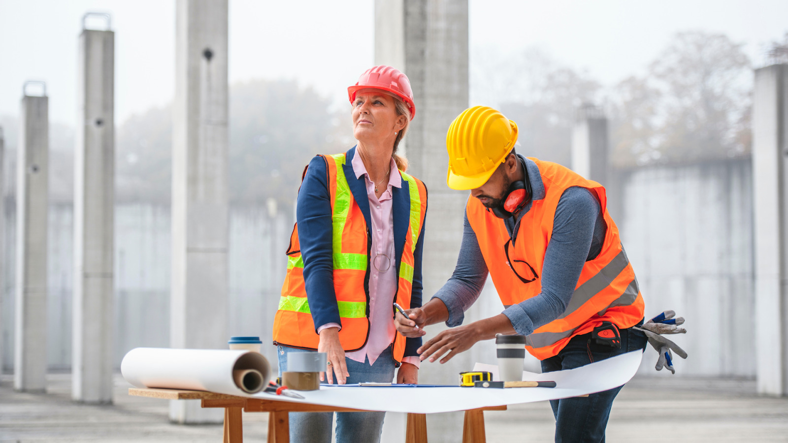 BIM Collaboration Pro