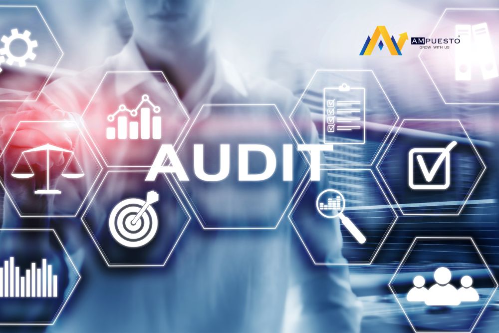 Tax audits