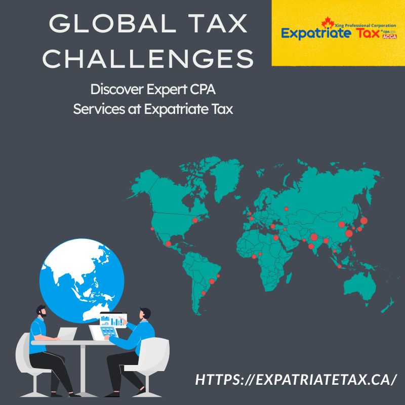 Professional Accountants